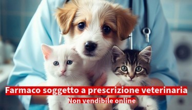 Metoclopramide in veterinaria: farmaco per problemi digestivi