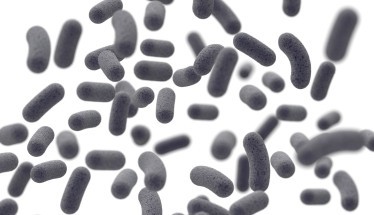 Acido Fusidico: antibiotico topico contro le infezioni cutanee