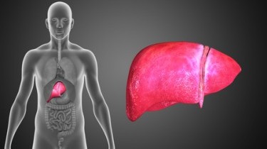 Epatite C, una legge per avere i generici