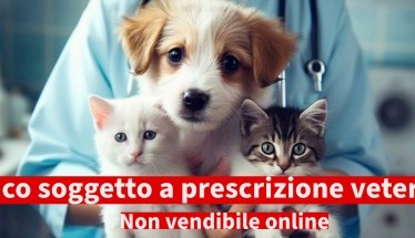 Enrofloxacina Veterinaria: Un Antibiotico per la salute del cane