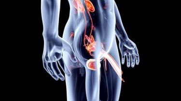 E' boom di interventi per farsi allungare il pene