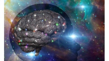 Scoperto il gene dell'intelligenza