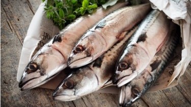Gli Omega 3: un toccasana per l'intestino 