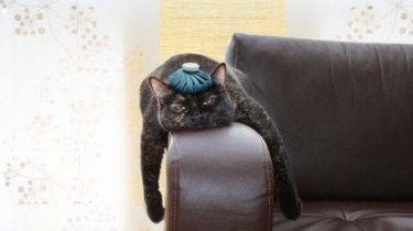 E' ufficiale: la pigrizia è una malattia