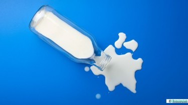 Intolleranza al lattosio: i migliori integratori