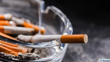 Nicotina: Utilizzo ed Effetti sulla Salute
