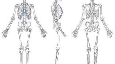 Osteoporosi: 5 consigli per evitarla