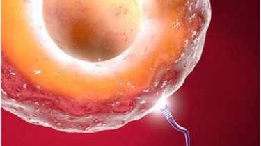 Sos fertilità: spermatozoi ‘soffocati' dall'afa